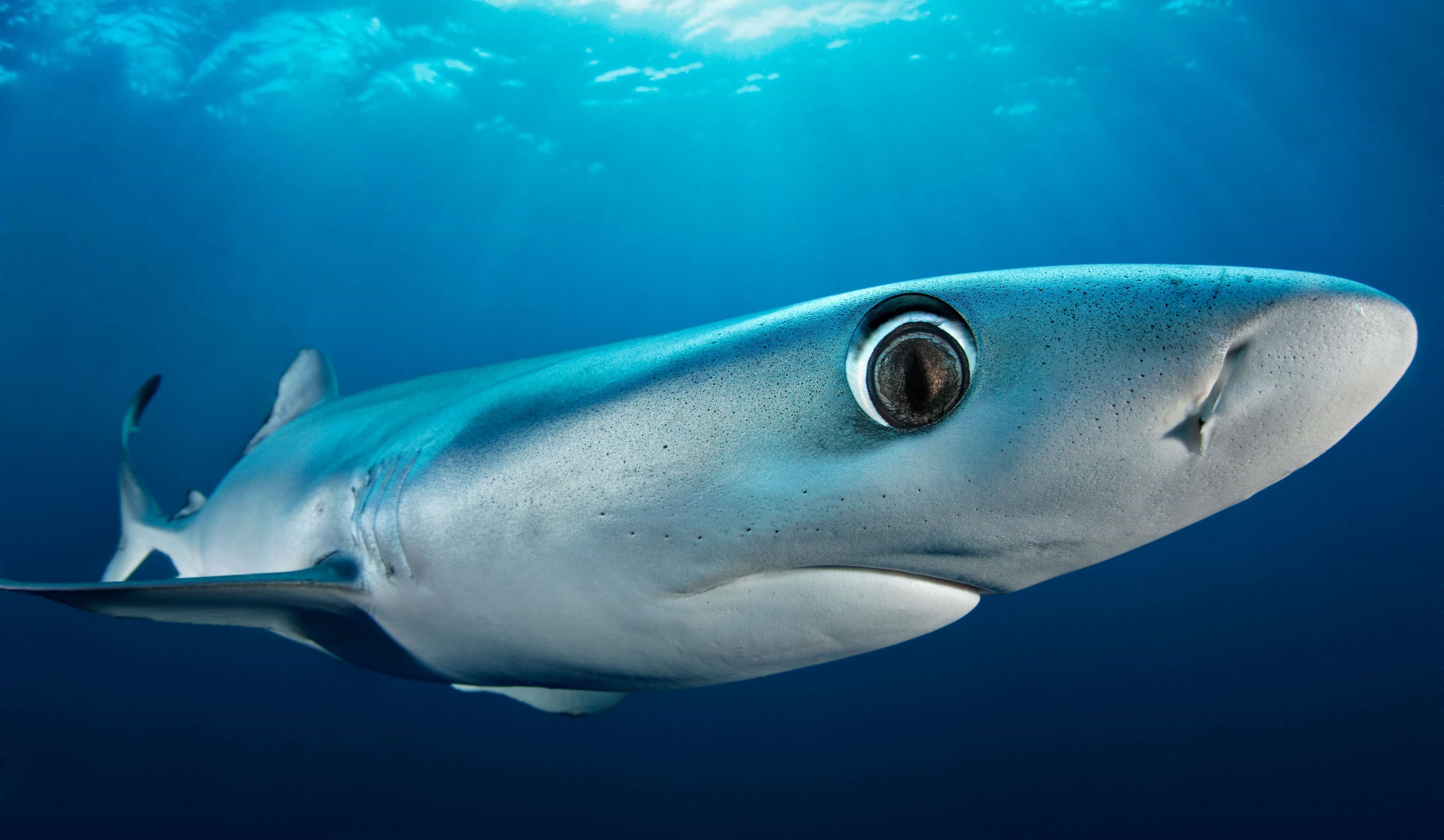 gasometer_oberhausen_040_tobias_friedrich (1) (1).jpg